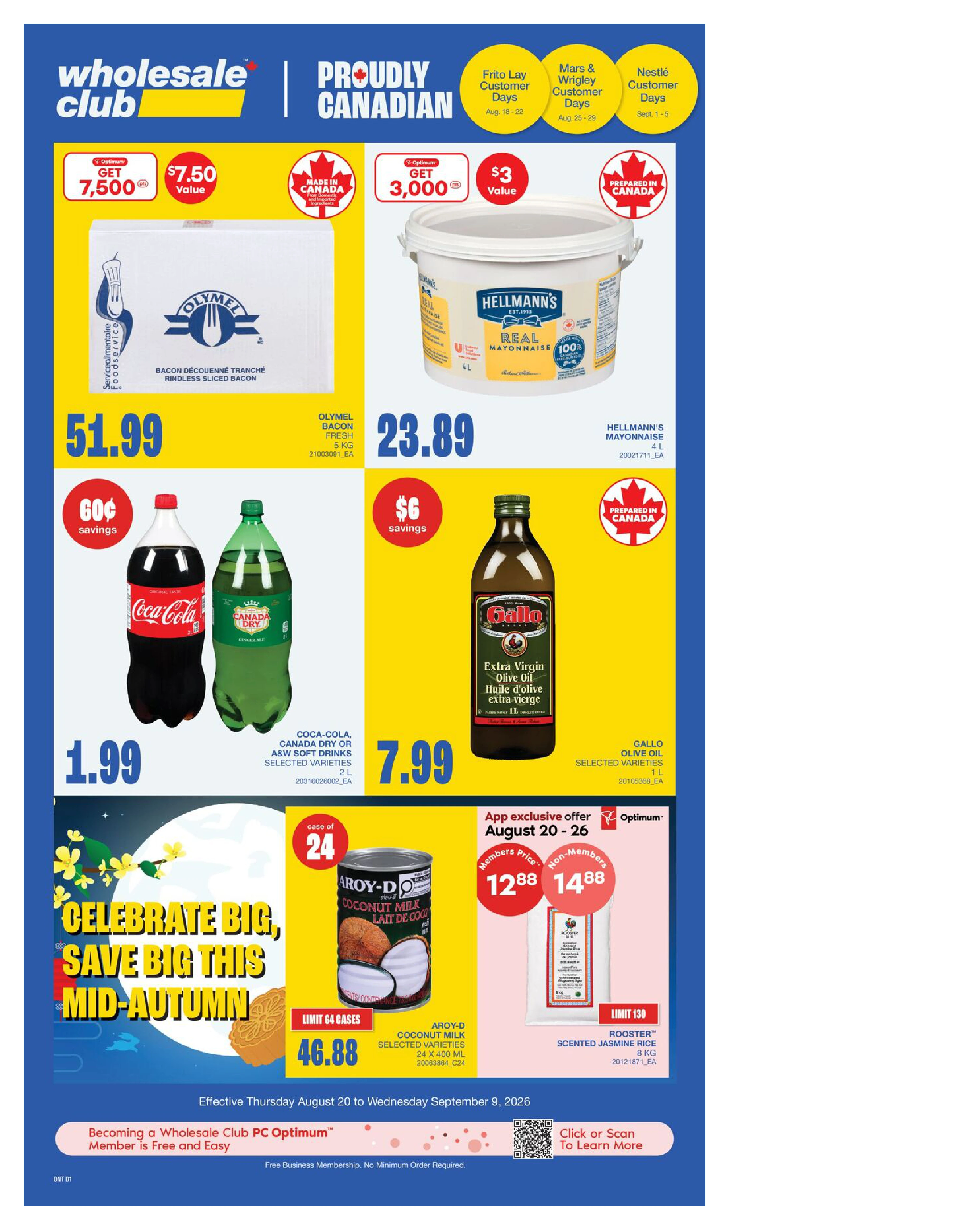 Flyer page 7