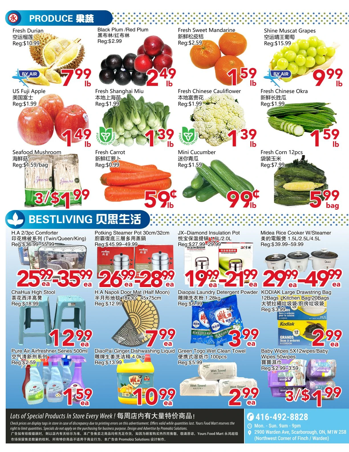 Flyer page 2