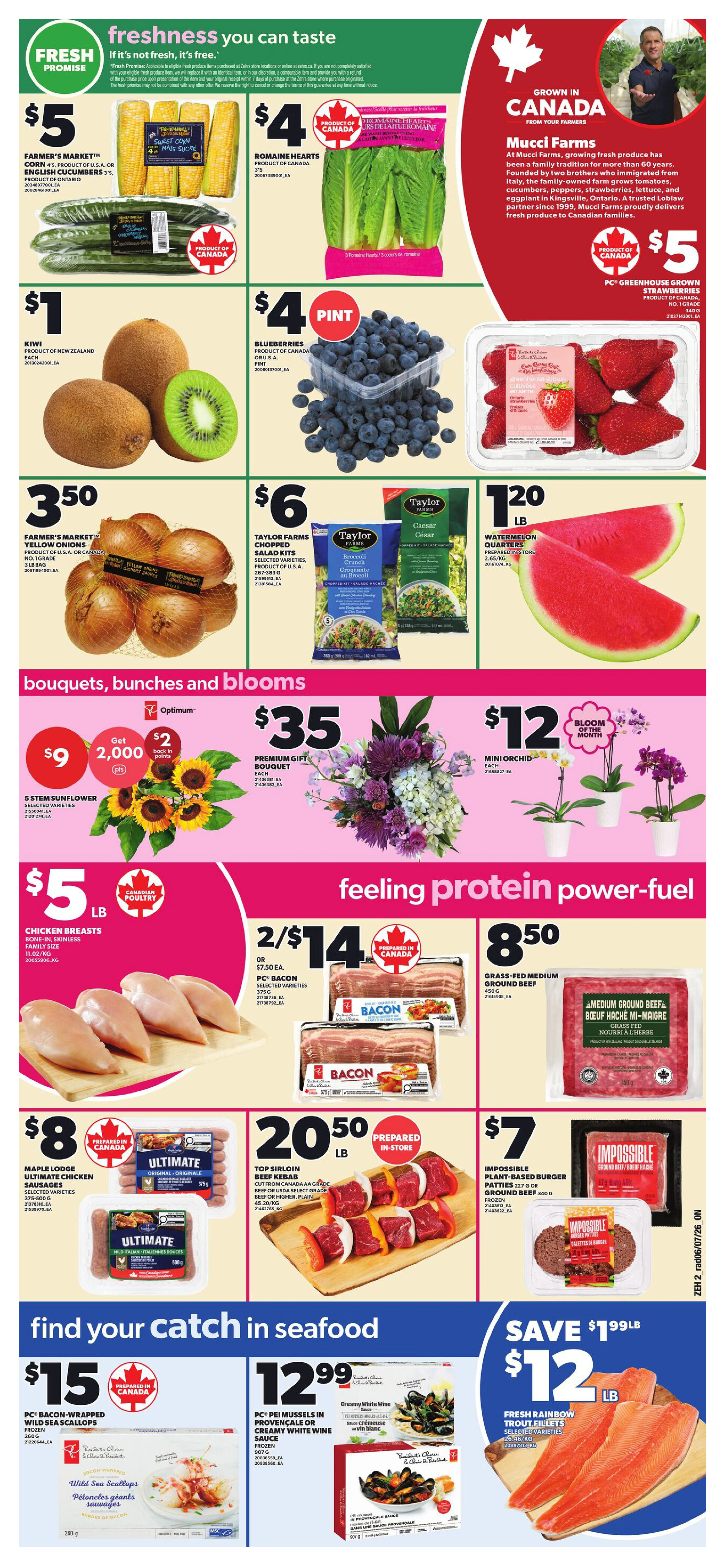 Flyer page 3